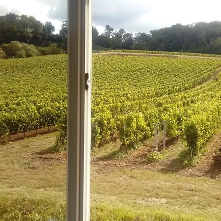 Maison Spacieuse Et Charmante A Saint-emilion